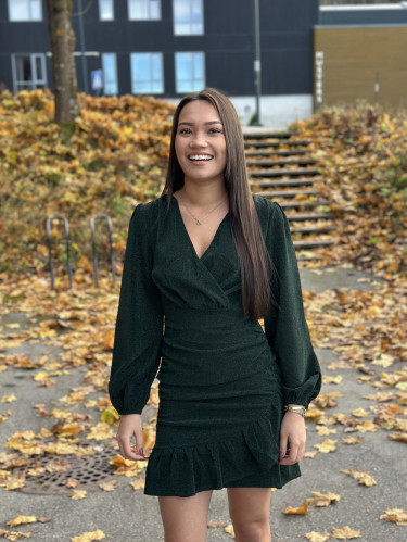 Alyssa Sparkle Dress Dk Green