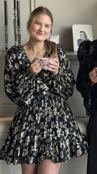 Georgette Mini Dress Anthracite