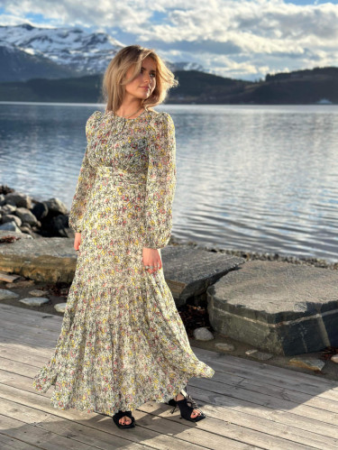 Dotted Georgette Gown Vintage Floral
