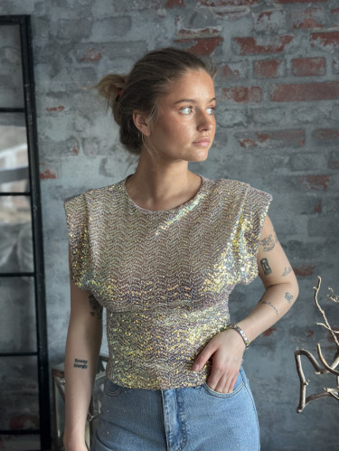 Sunset Sequin Top Iridescent Beige
