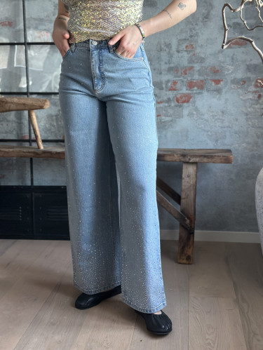 AbbyFV 745 Light Rinse Rhinestone