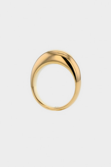 The Shiny Gold Ring